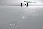 Teshima Art Museum