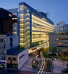 Yawkey Center