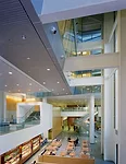 Yawkey Center