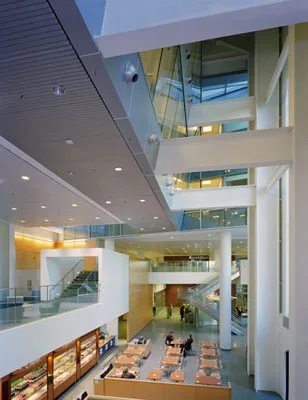 Yawkey Center