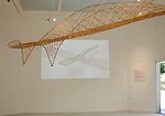 Reiser Umemoto