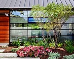 Shavano Park House