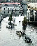 Katrina Critique