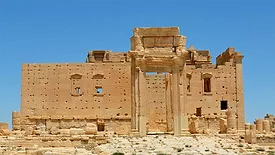 Palmyra
