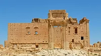 Palmyra