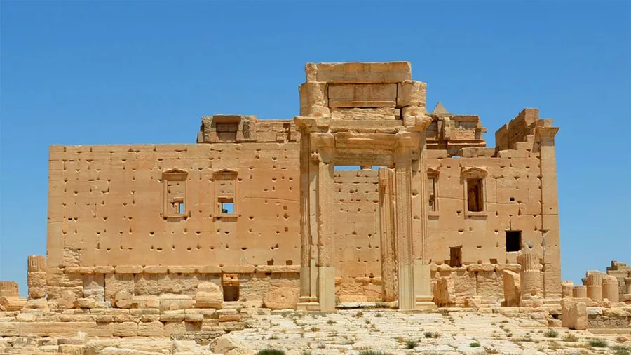 Palmyra