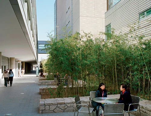 U.S. Embassy
