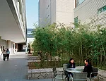 U.S. Embassy
