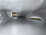 Jellyfish House