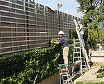 Vertical and Verdant