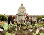 There Will Be Tacos, There Will Be Compost