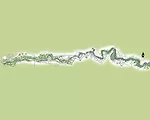 Landscape Architects Play Central Role in Green Design