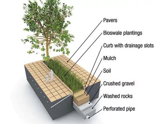 Landscape Architects Play Central Role in Green Design