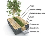 Landscape Architects Play Central Role in Green Design