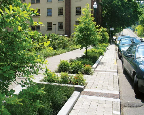 Landscape Architects Play Central Role in Green Design