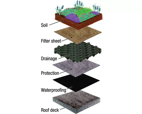 Landscape Architects Play Central Role in Green Design