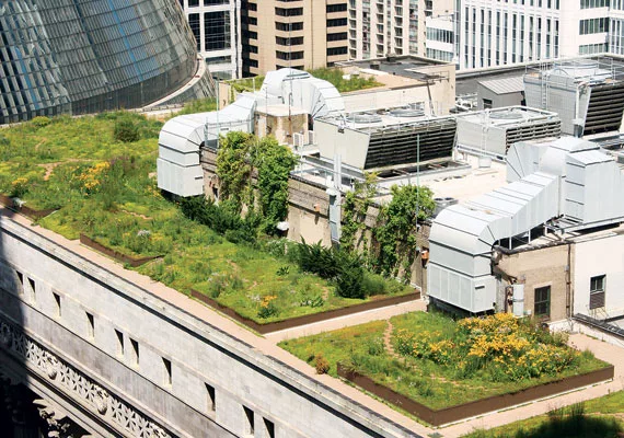 Landscape Architects Play Central Role in Green Design