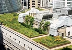 Landscape Architects Play Central Role in Green Design