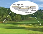 Landscape Architects Play Central Role in Green Design