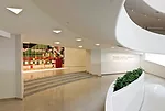 The Guggenheim Celebrates 50