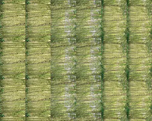 Abstract Incarnations of Place