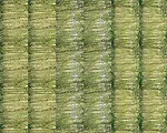 Abstract Incarnations of Place
