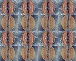 Abstract Incarnations of Place