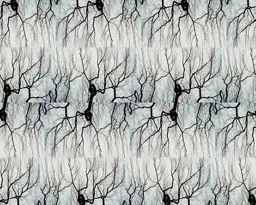 Abstract Incarnations of Place