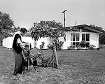 Julius Shulman
