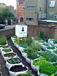 London Architecture Festival Urges Fresh Thinking