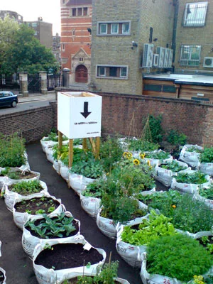London Architecture Festival Urges Fresh Thinking