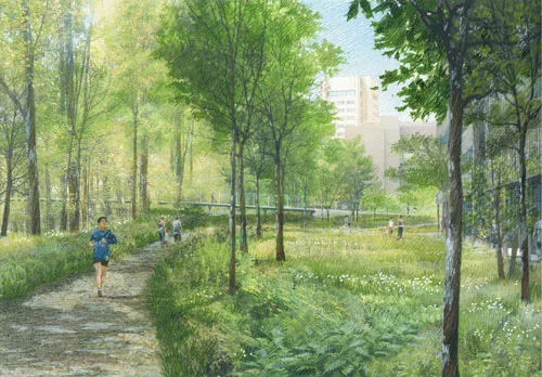 Princeton's Campus Plans