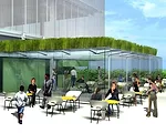 Sustainability Heads South of the Border