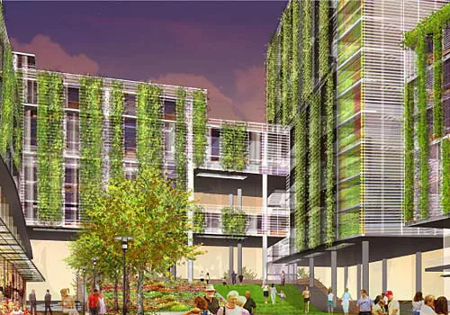A New Vision for Dallas