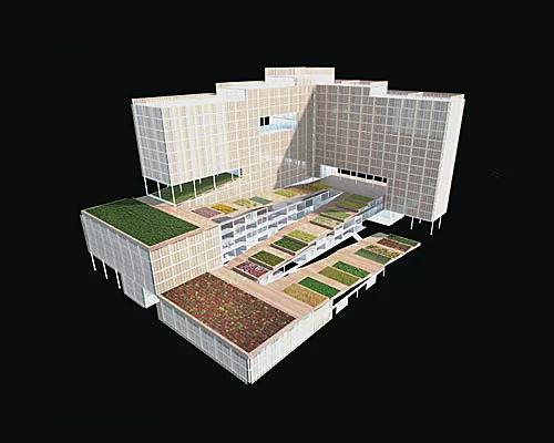 A New Vision for Dallas