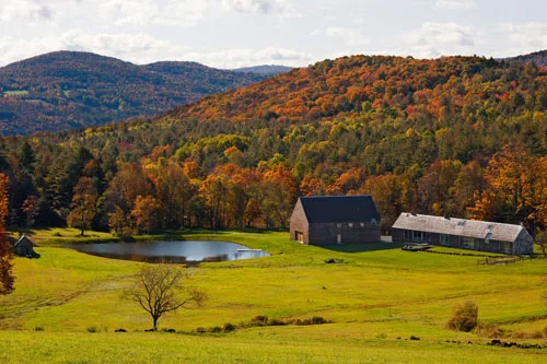 Woodstock Farm
