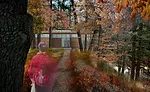 Yaddo Art Colony