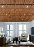 Direct Mount Ceiling