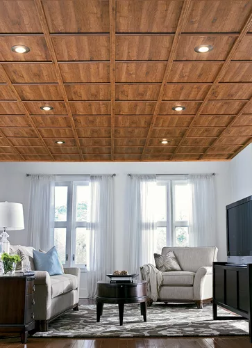 Direct Mount Ceiling