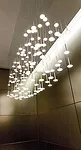 In a New Light