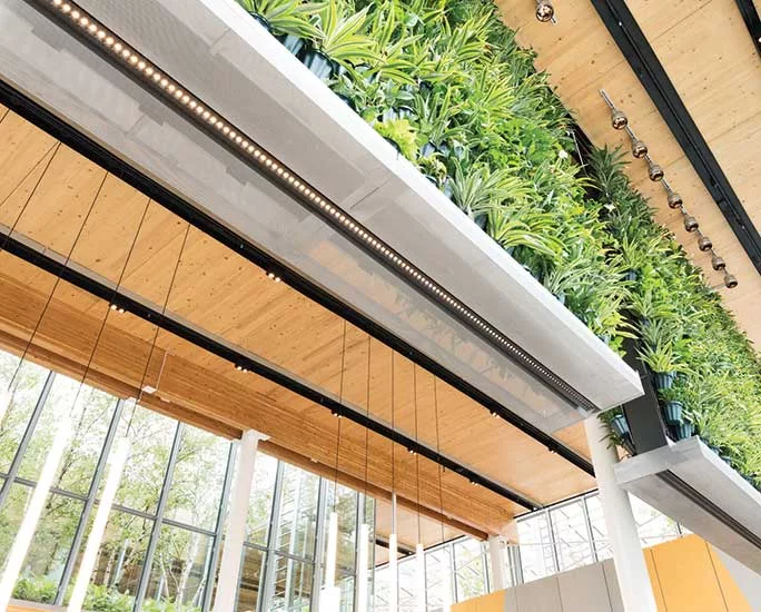 Case Study: Retail Architecture