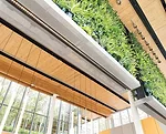 Case Study: Retail Architecture