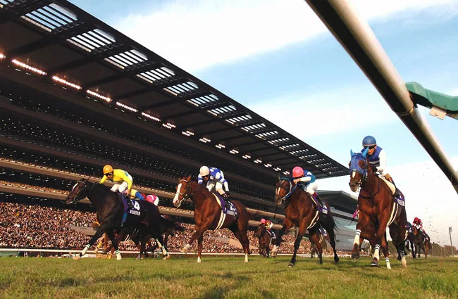 World's biggest horseracing venue, capacity 207,404. The Tokyo Racecourse, which was built in 1933, has long been Japan's premier racing venue. It is located in the Tokyo suburb of Fuchu, and offers s