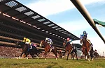 World's biggest horseracing venue, capacity 207,404. The Tokyo Racecourse, which was built in 1933, has long been Japan's premier racing venue. It is located in the Tokyo suburb of Fuchu, and offers s