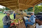 County Fare