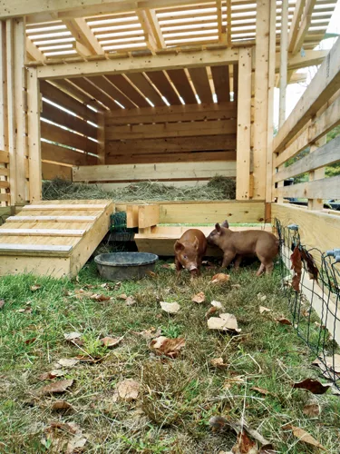 The winner of the University at Buffalo's Hive City competition, Elevator B provides a new home for a colony of honeybees relocated from an abandoned office building. The 22-foot-tall stee
