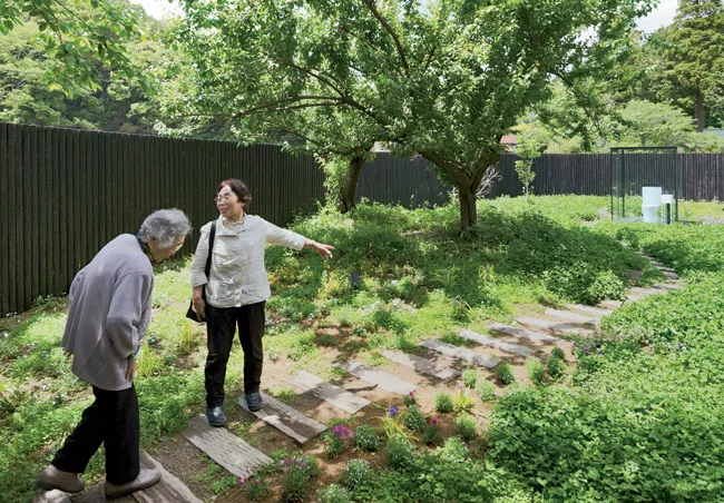 The architect's transparent stall (for women primarily) is surrounded by a 7-foot-high oval of wood fencing. The fence allows the stall's users to experience the scenic view while main