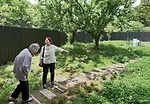 The architect's transparent stall (for women primarily) is surrounded by a 7-foot-high oval of wood fencing. The fence allows the stall's users to experience the scenic view while main