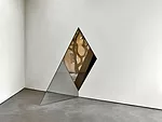Sarah Oppenheimer