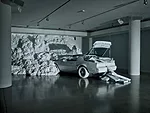 Snarkitecture